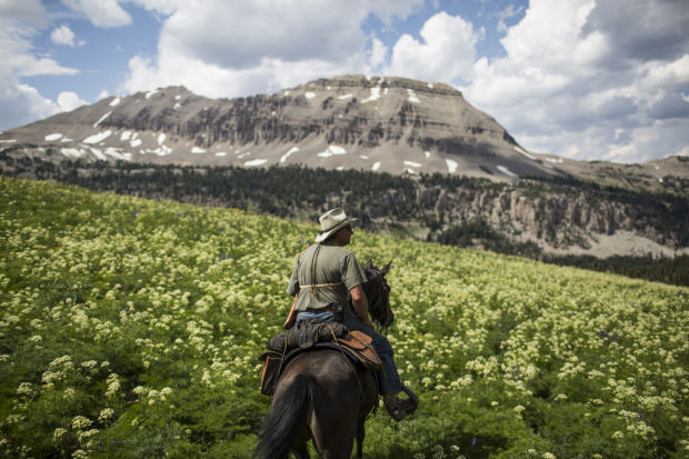 Gros Ventre Wilderness